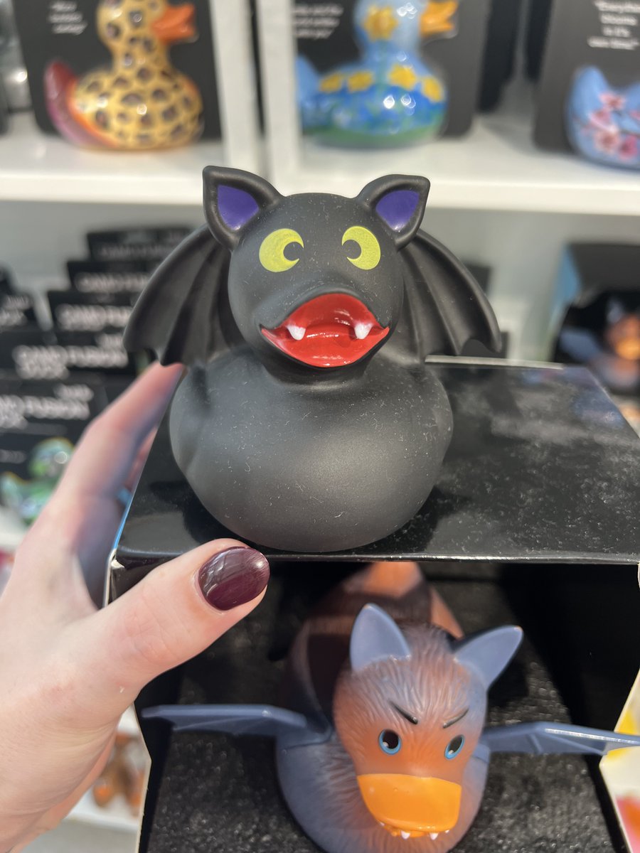FreyaVanadiss's tweet photo. @Heatherthefair #Batduck earlier today https://t.co/xkn0L7j8Ux