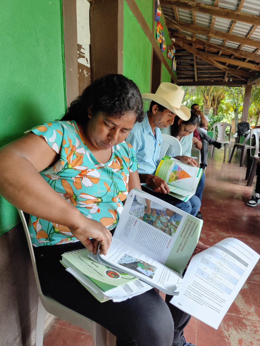 UNAGNicaragua's tweet image. UNAG Madriz en coordinación con #SWISSAID, Fundación Denis González, ALDEMA, FEM, FEDICAN y Cooperativa Pueblos unidos realizan Escuela de Campo sobre gestión de la calidad de la Semilla, en el marco de la Red de bancos de semillas, en la comunidad Cuyali Palacagüina, #madriz