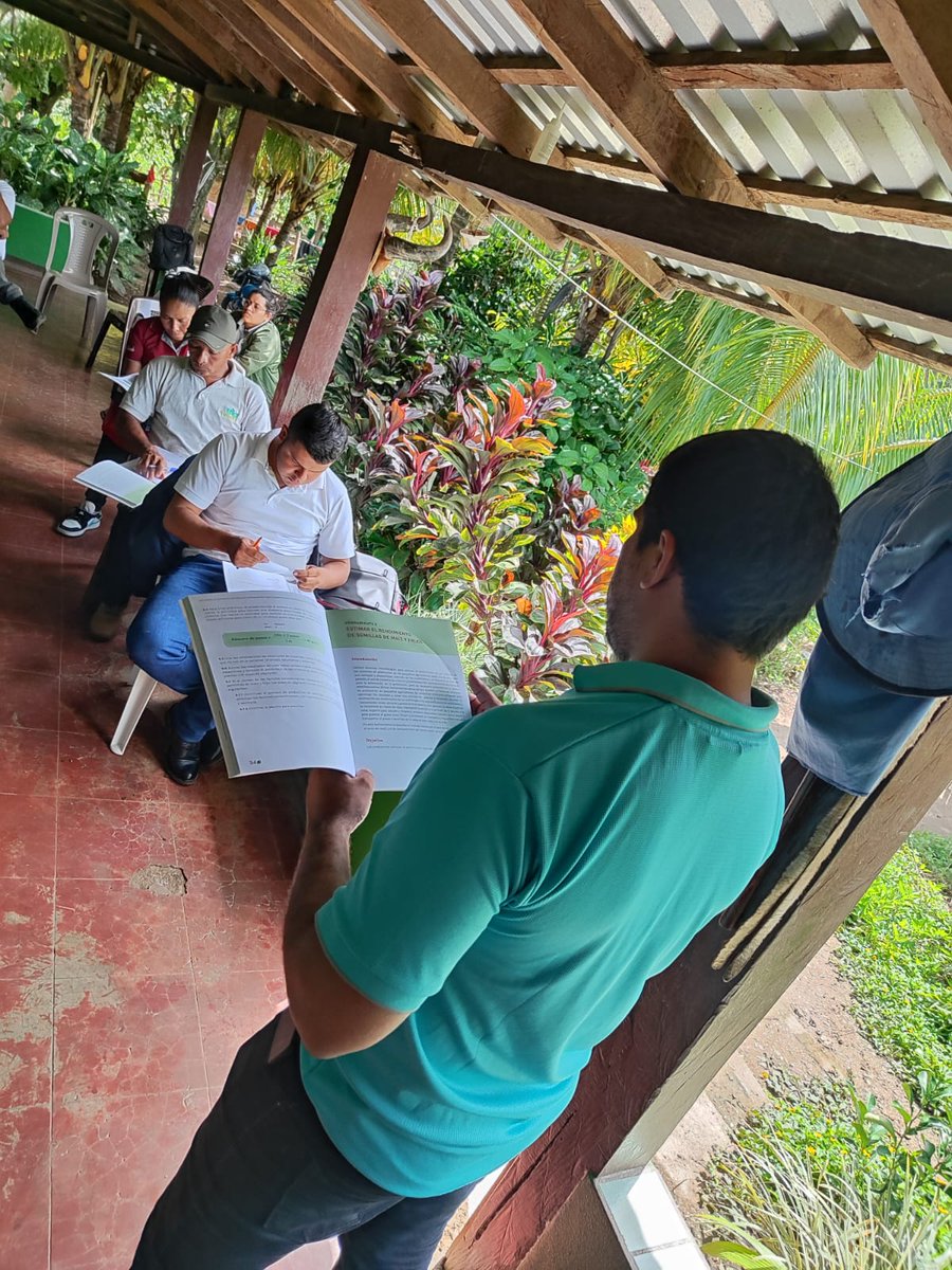 UNAGNicaragua's tweet image. UNAG Madriz en coordinación con #SWISSAID, Fundación Denis González, ALDEMA, FEM, FEDICAN y Cooperativa Pueblos unidos realizan Escuela de Campo sobre gestión de la calidad de la Semilla, en el marco de la Red de bancos de semillas, en la comunidad Cuyali Palacagüina, #madriz