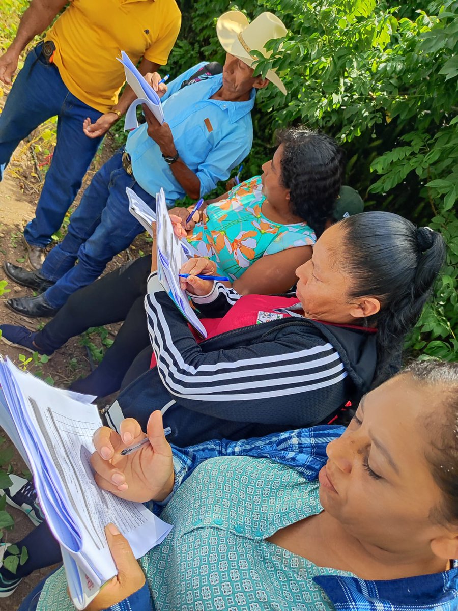 UNAGNicaragua's tweet image. UNAG Madriz en coordinación con #SWISSAID, Fundación Denis González, ALDEMA, FEM, FEDICAN y Cooperativa Pueblos unidos realizan Escuela de Campo sobre gestión de la calidad de la Semilla, en el marco de la Red de bancos de semillas, en la comunidad Cuyali Palacagüina, #madriz