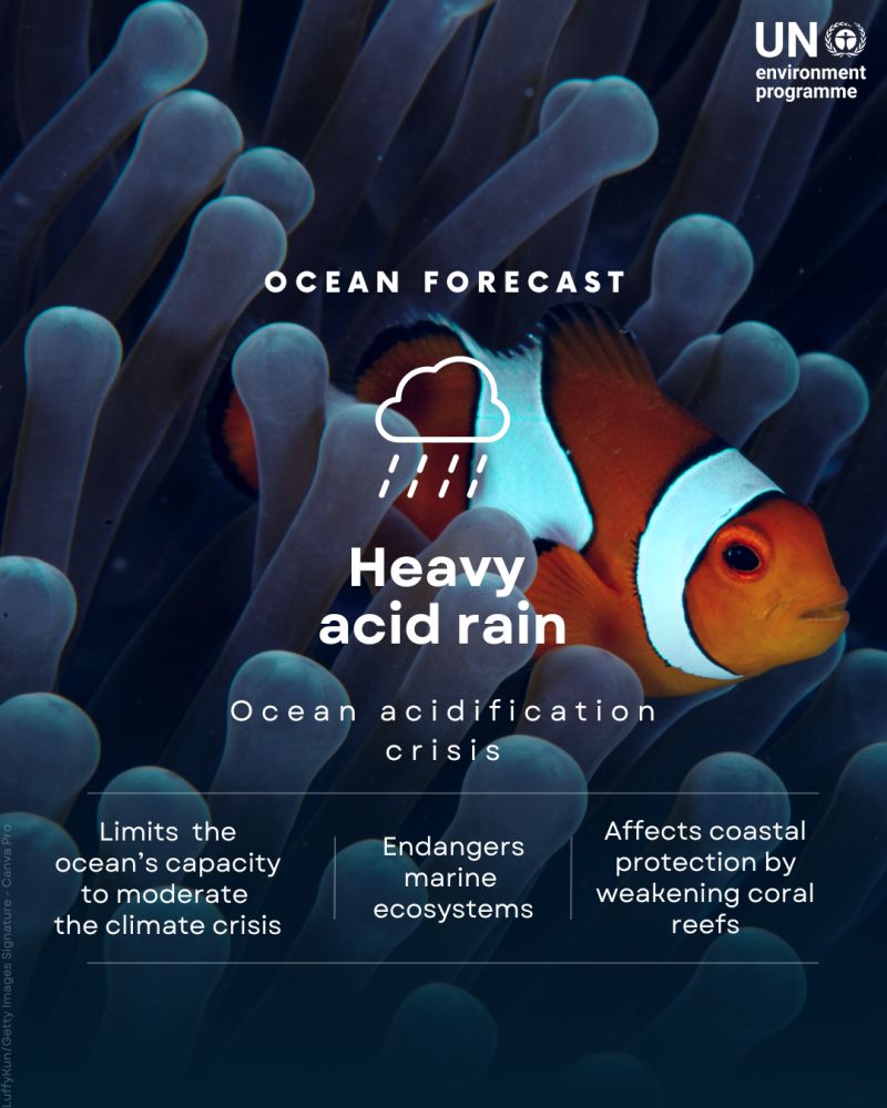 AnnaKavanaugh's tweet image. Our #oceans are vital carbon sinks that absorb excess heat and CO2 emissions. They support communities, diverse cultures, economies, and regulate #climate and oxygen. Bold moves now for a sustainable future. #SaveOurOceans #Environment #ClimateActionNow

unep.org/topics/ocean-s…