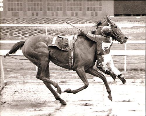 Sports & Betting History by BestBettingSites tweet media