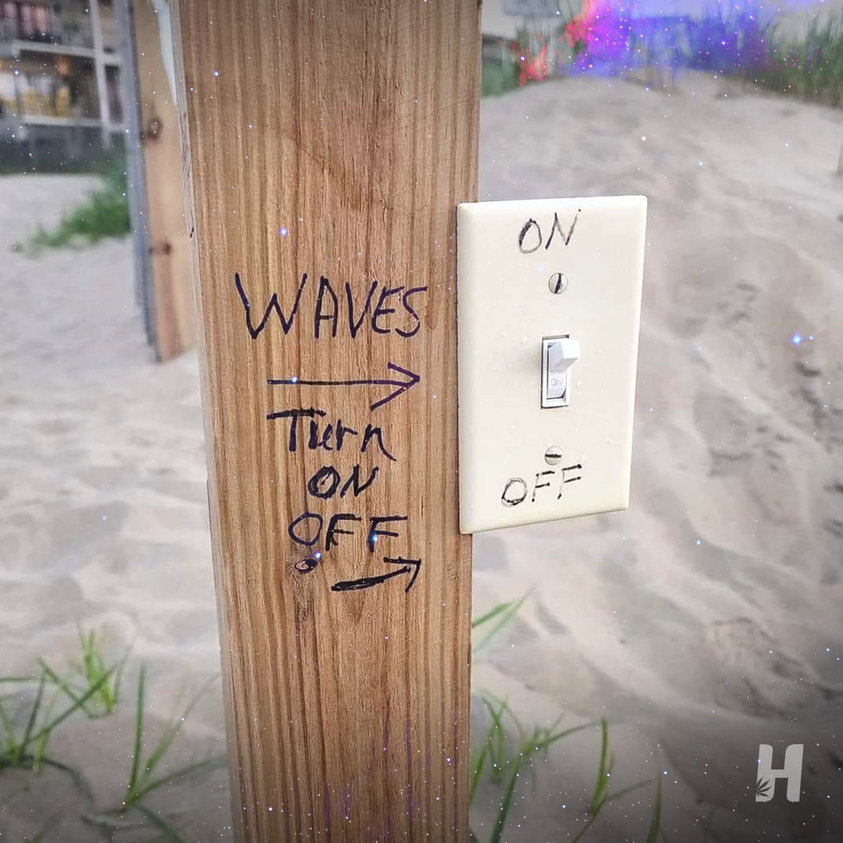 HeadsLifestyle's tweet image. Get ready East Coast. Somebody turned on the Wave Machine!
.
#getready #wavemachine #hightide #surfhigh #surfstoned #surf #surfinglifestyle #surfingiseverything #surfinsta #instasurf #saltybynature #nobodysurf #surfing #ocean #waves #HurricaneSeason #HurricaneErnesto