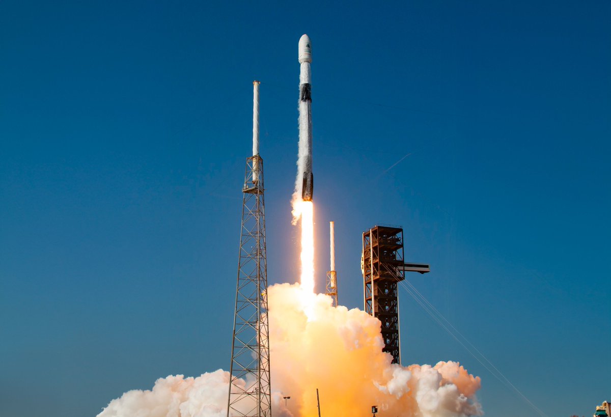 Mikel Jauregi tweet media