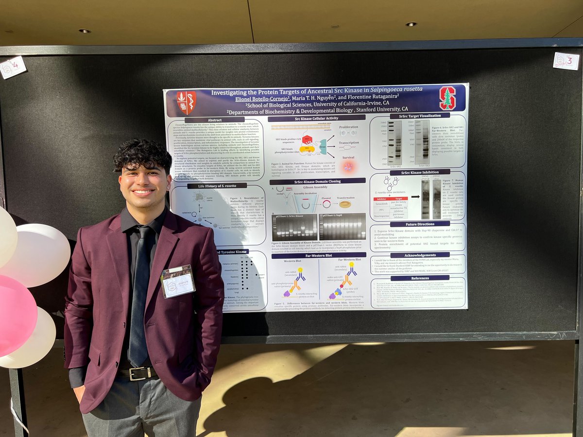 María Nguyễn (@mariahtnguyen) on Twitter photo 👏 Shoutout to Elionel for his incredible hard work and enthusiasm this summer in <a href="/FUNRScience/">The FUNR Lab</a>! I’m so proud of everything he's accomplished. 🌟 Look out for his Ph.D. applications this fall! 👀👀 👏 Shoutout to Elionel for his incredible hard work and enthusiasm this summer in <a href="/FUNRScience/">The FUNR Lab</a>! I’m so proud of everything he's accomplished. 🌟 Look out for his Ph.D. applications this fall! 👀👀