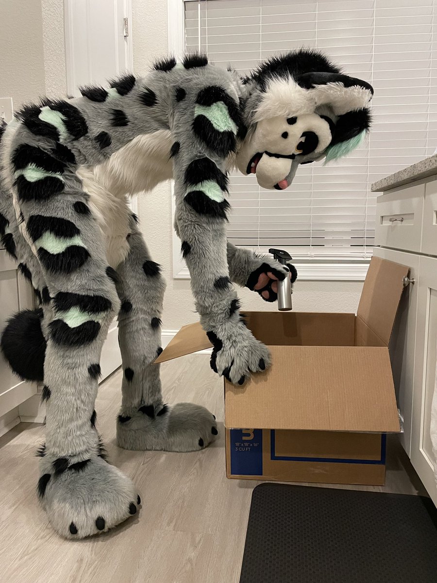 MintySnep's tweet photo. How it started.              How it ended. https://t.co/Q8Vdln4rpP