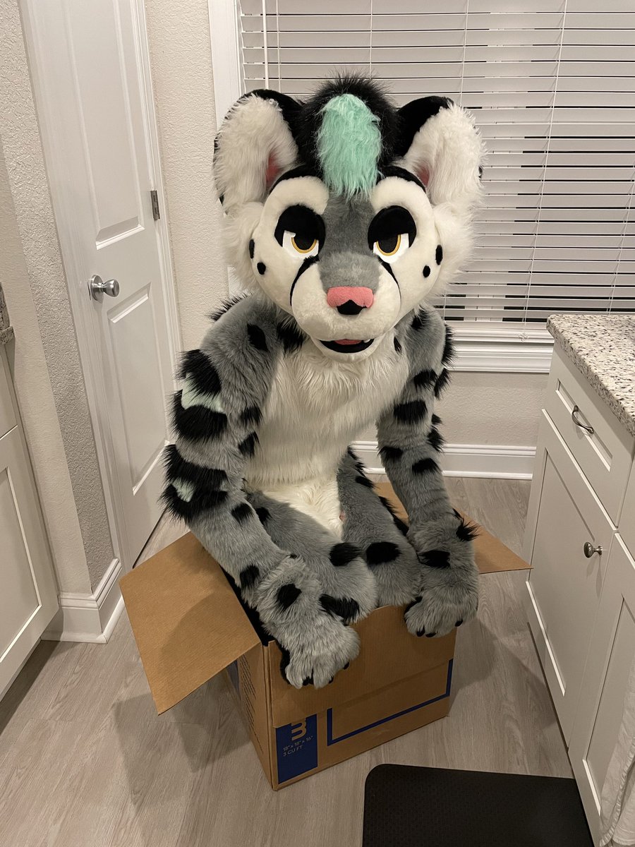 MintySnep's tweet photo. How it started.              How it ended. https://t.co/Q8Vdln4rpP