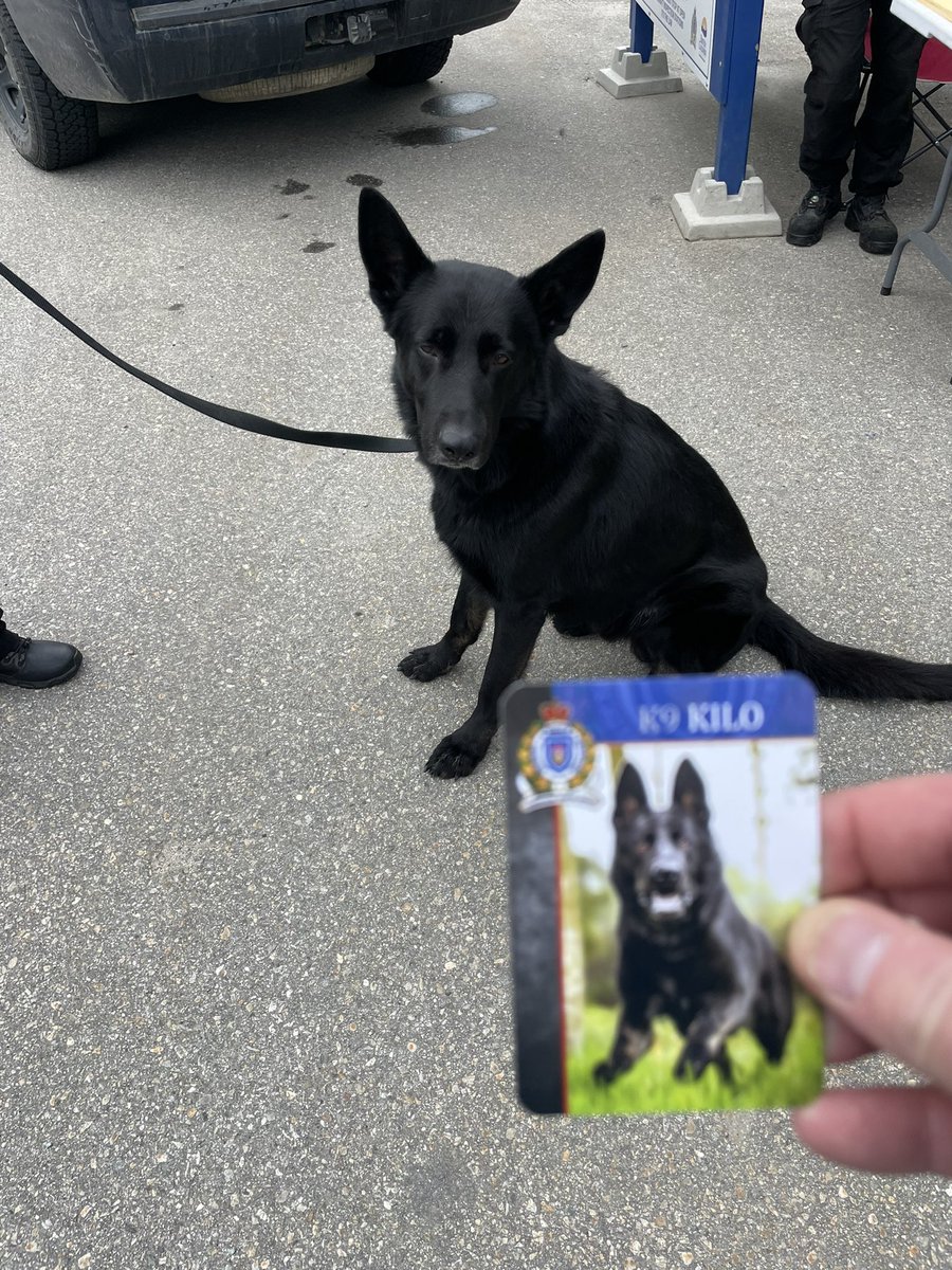 OwenTorgerson's tweet photo. This is Kilo, a K9 asset in the @_BCCOS. Kilo is based in Golden but also assists with IMD near #MtRobson because Kilo can also detect quaggua and zebra mussels!! This is Kilo’s last year with the service. #TeamValemount wishes Kilo all the best in retirement. What a good boy!! https://t.co/yJ0UgutR2D