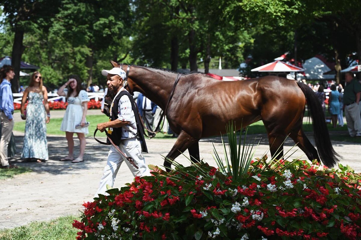 Ashwell Stable, LLC tweet media