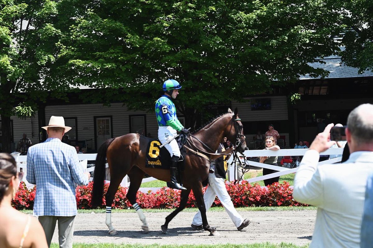 Ashwell Stable, LLC tweet media