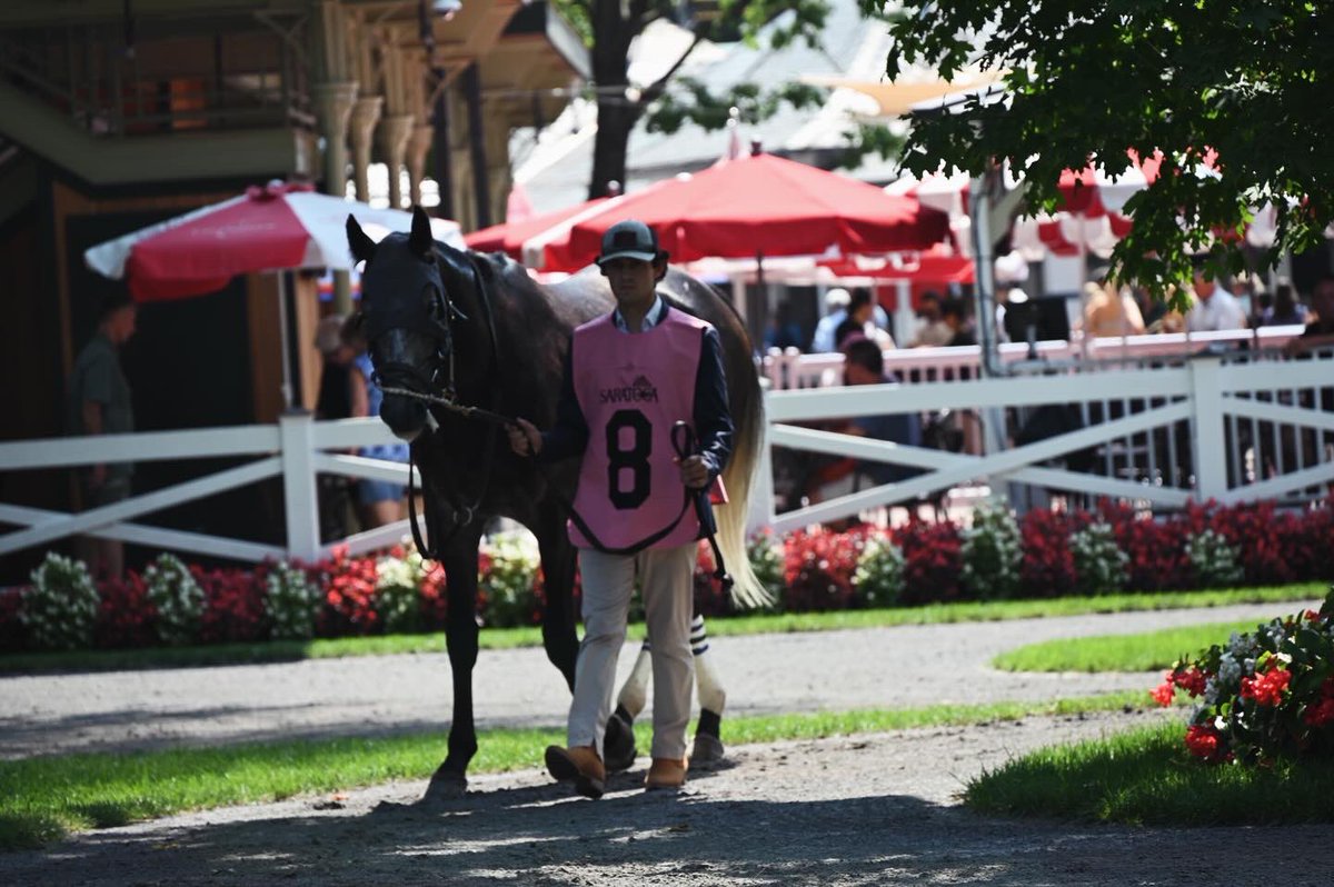 Ashwell Stable, LLC (@ashwellstable) on Twitter photo 💕Here & There at #thespa💕
The race may have not transpired how we would have like but that’s racing and we are glad all of our horses are safe and sound! 🫶
#racehorses #horseracingphotos #racehorsetrainer #horses #horseracing #horseraces #saratogasprings #saratogaracetrack 💕Here & There at #thespa💕
The race may have not transpired how we would have like but that’s racing and we are glad all of our horses are safe and sound! 🫶
#racehorses #horseracingphotos #racehorsetrainer #horses #horseracing #horseraces #saratogasprings #saratogaracetrack