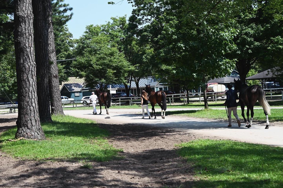 Ashwell Stable, LLC tweet media