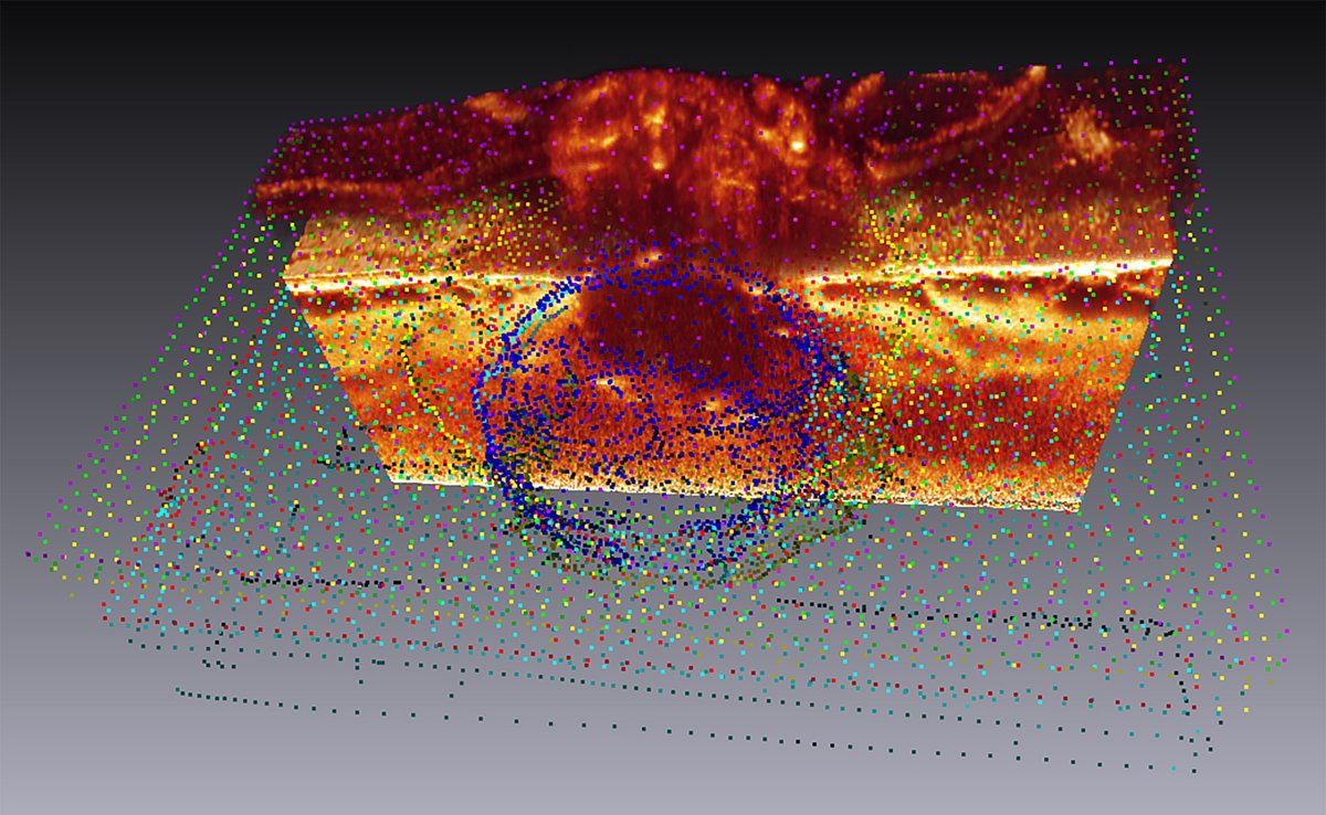 Emory Eye Center tweet media