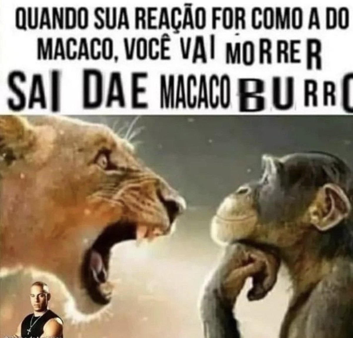 naovoversozinho's tweet photo. https://t.co/y992mSaAMk