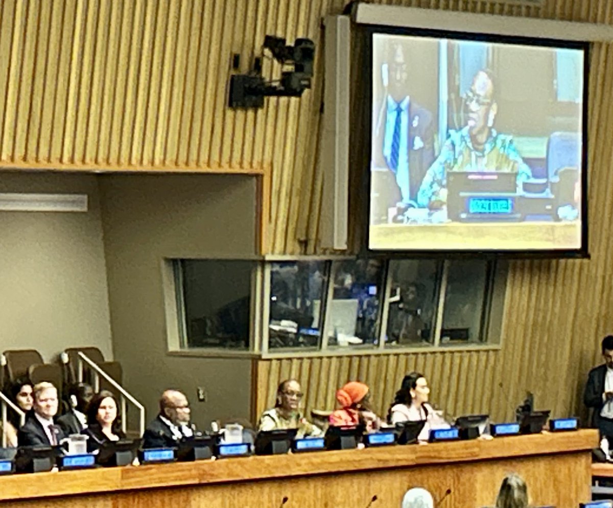 The Deputy Director General for Operations, Ugochi Daniels, asserts the importance of remembering the people behind the numbers when advocating for displaced persons at the 29th <a href="/YouthAssembly/">AFS Youth Assembly</a>. <a href="/AFS/">AFS Intercultural Programs</a> #intled #advocacy #youthvoice