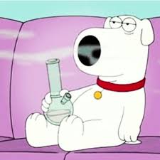 CAPTAIN CANADA tweet media