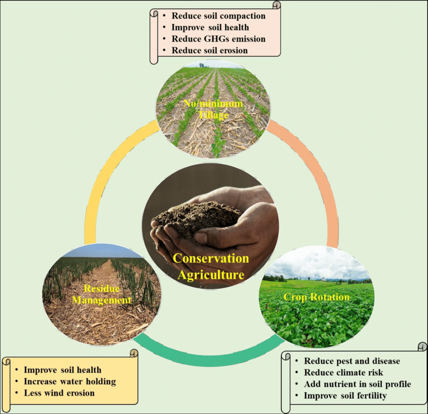 Ecoquestg's tweet photo. #Conservation_agriculture offers a sustainable solution for restoring soil health while significantly boosting productivity. It all starts seeming to be impossible until it is done. what it requires is dedication, passion and hard work. https://t.co/2ddyV6dBfa