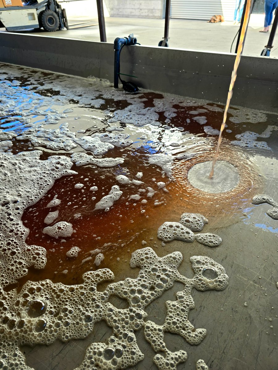HawleyWines's tweet photo. Just like that, Harvest is Here!🍇🚜
Pinot Noir from the Russian River Valley was the first off the vine this year for us! Our winemakers will be crafting this fruit into a Blanc de Noirs that will release in late 2025. https://t.co/xRrgC4XjAR