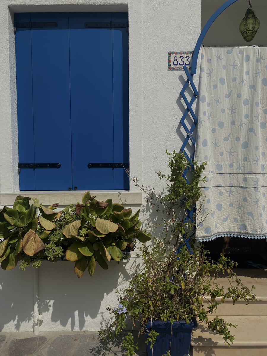 _gxiaa's tweet image. murano, burano, torcello, 16/08