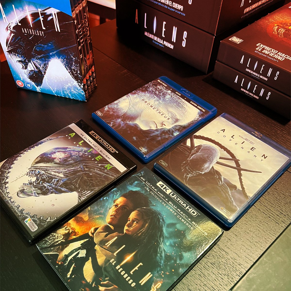 Carlos_Zarzuela's tweet photo. Alien fan? 👽 me?
@FreeLeaguePub @GaleForceNine @PaniniComicsEsp
#Alien #Aliens #AlienRomulus #AlienMonth #AlienRPG #Comics #Collection https://t.co/FPg6ebYByt