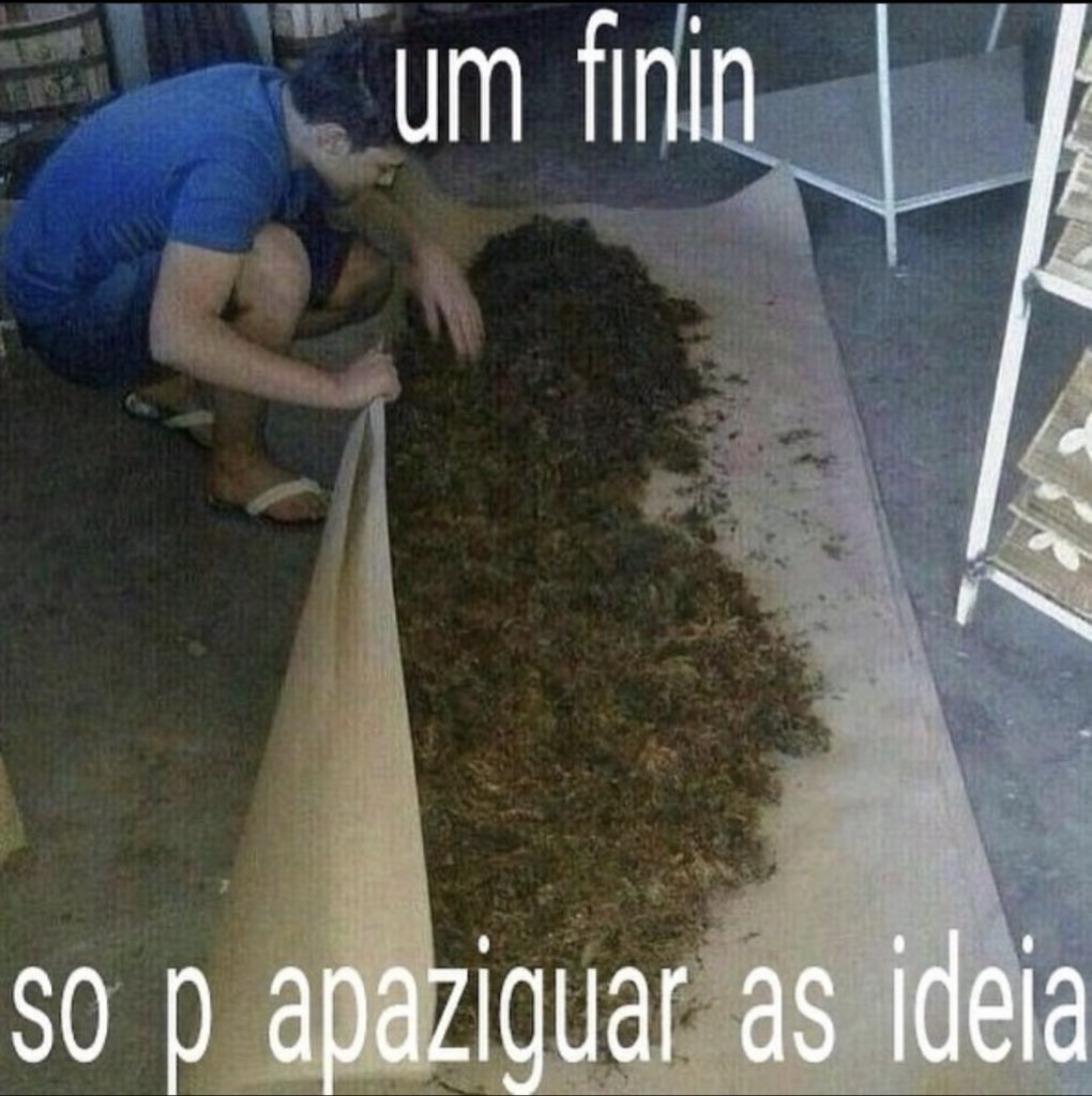 Cannabis Brasil (@canabisbrasil) on Twitter photo 