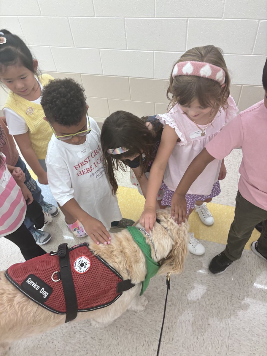 💖Friday fun at MECC 🐾🐶💖#gibson   #MASONmoment  #shinelikesable #4pawsforability <a href="/MasonSchools/">Mason City Schools</a> <a href="/MrsBly_MECC/">Melissa Bly</a>