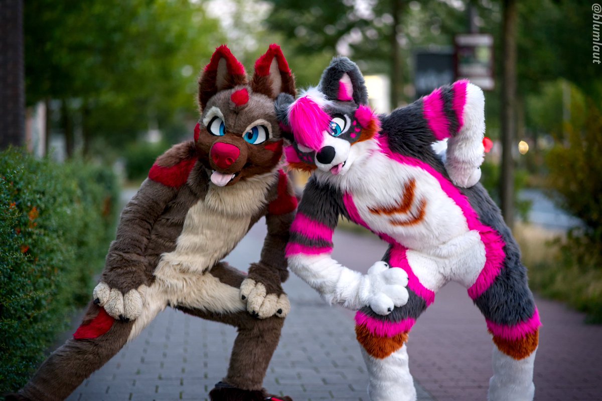 POV: You have been stopped by two dogs. What will you do?

📷: <a href="/blumlaut/">blumlaut📸</a> 
📍: Münster Hafen

#FursuitFriday #Fursuit #Furry