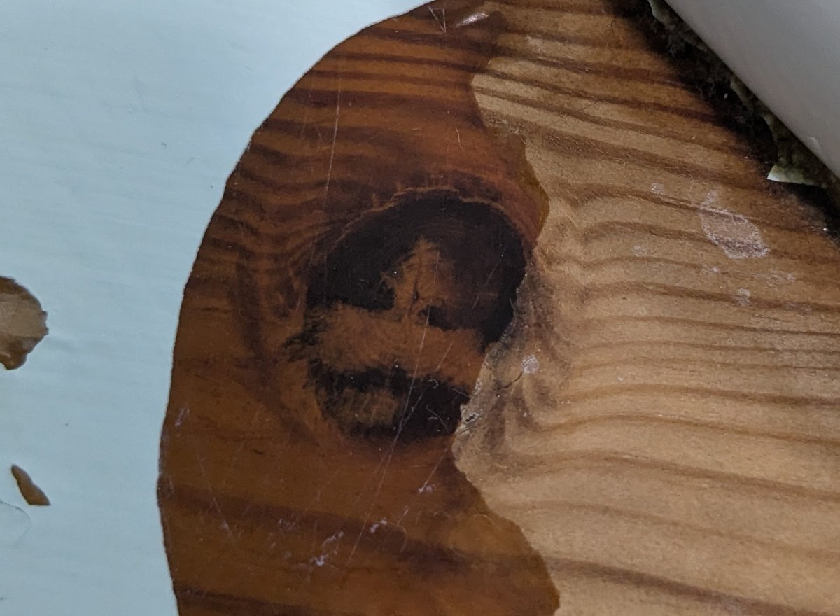 robinhow's tweet photo. @rickygervais Lost some paint from our bathroom sink and look who was peering out from underneath! Brian Gittins!
#afterlife https://t.co/l7SmTL0cG9