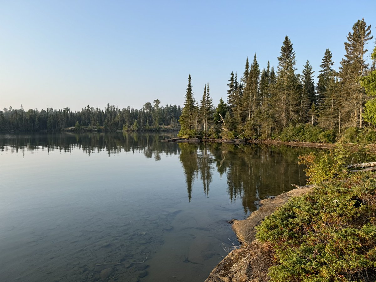 Rokcty's tweet photo. Isle Royale is SOOOOOOO wild. https://t.co/r40uNpkZJ8