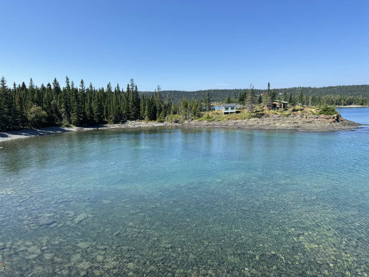 Rokcty's tweet photo. Isle Royale is SOOOOOOO wild. https://t.co/r40uNpkZJ8