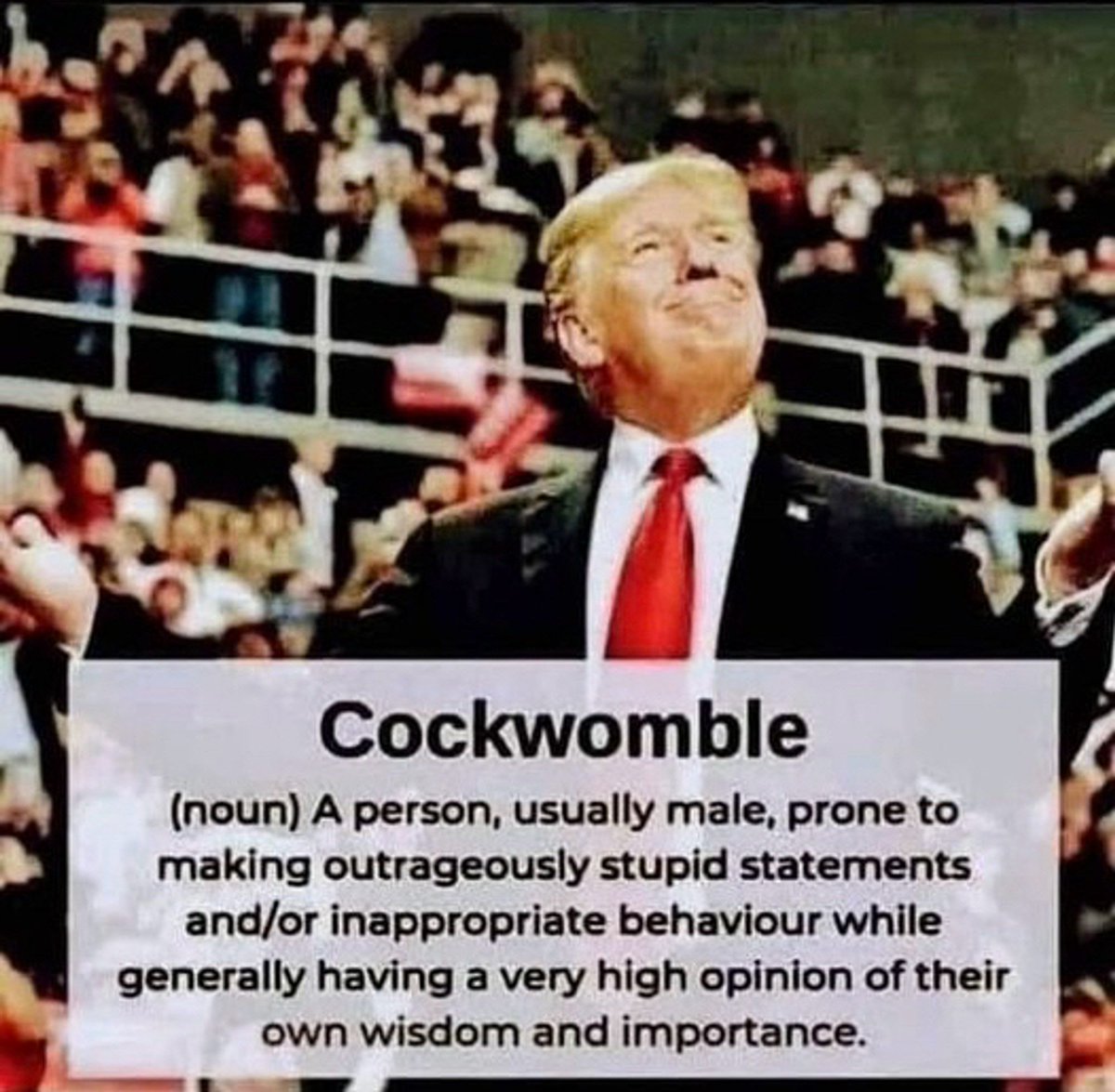 caromaus_'s tweet photo. #cockwomble 😂 https://t.co/yRMRKzEOKW