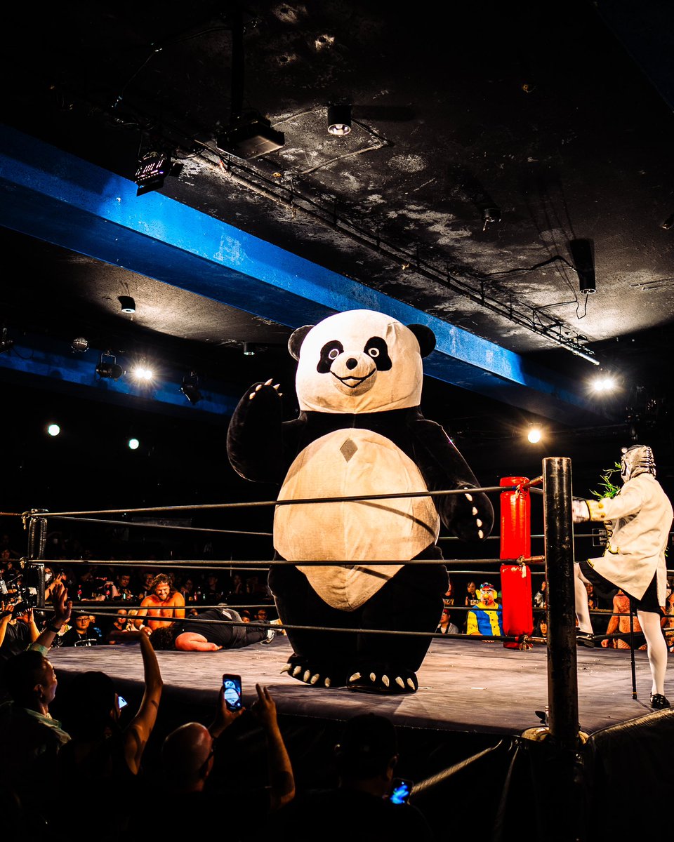 deathpark4ever's tweet photo. GCW JAPAN 3 #wrldonGCW
@wryyyyna66 @JANELABABY https://t.co/WMAbXSolKi