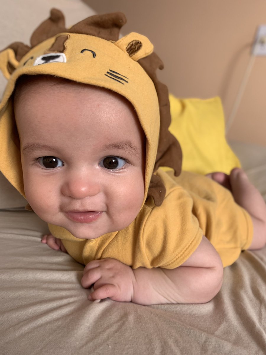 laurag0ncaves's tweet photo. Um leão furioso 🦁 https://t.co/3WF3lz9Fxx