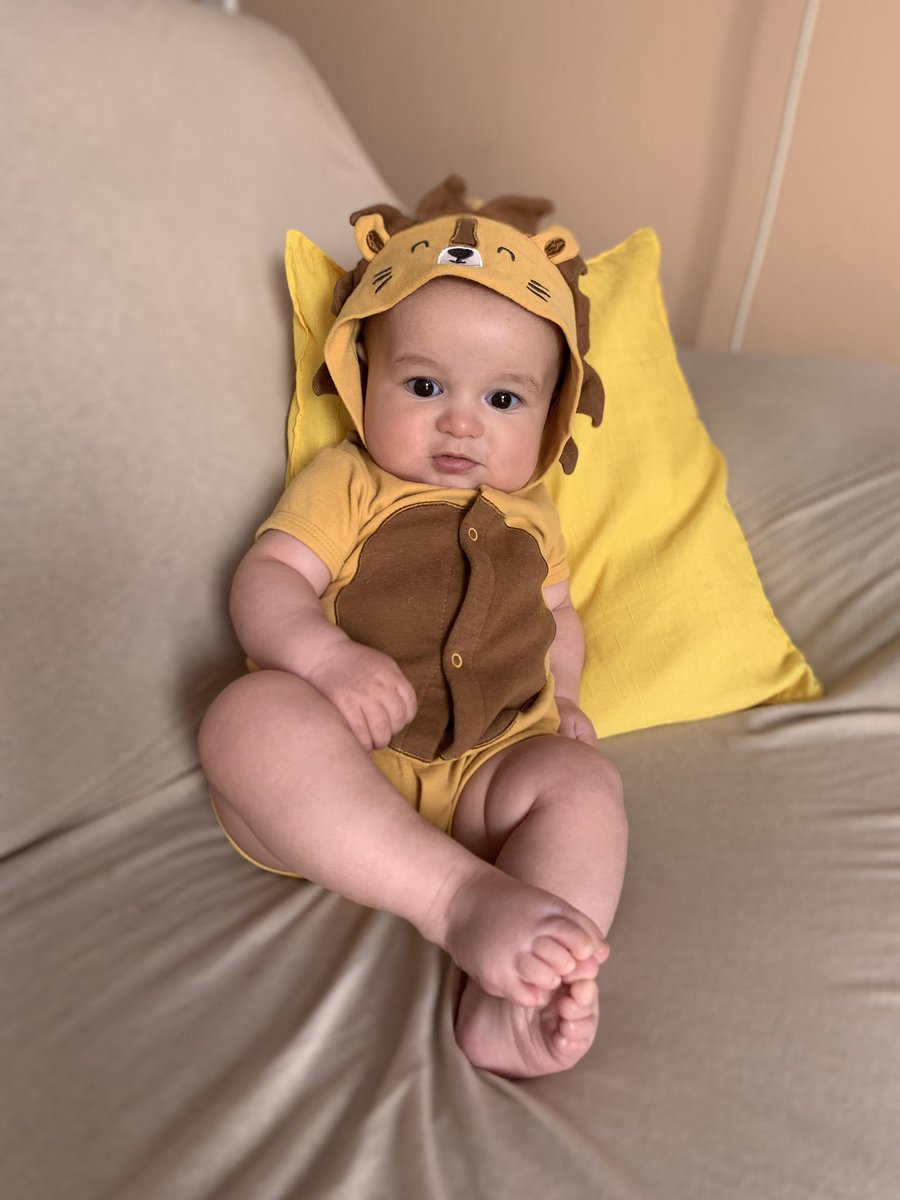 laurag0ncaves's tweet photo. Um leão furioso 🦁 https://t.co/3WF3lz9Fxx