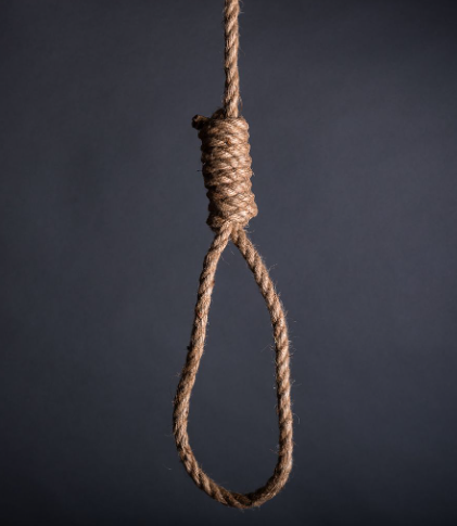 0gamz 💯 tweet media