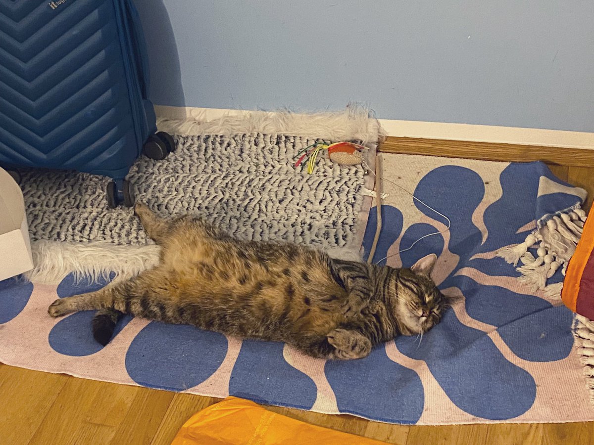 Olive Mackintosh-Lowe tweet media