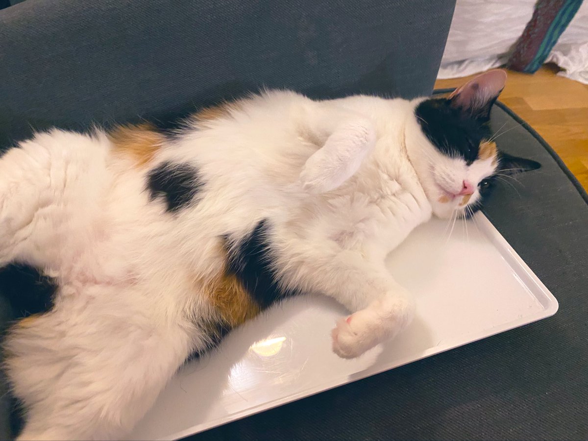 Olive Mackintosh-Lowe tweet media