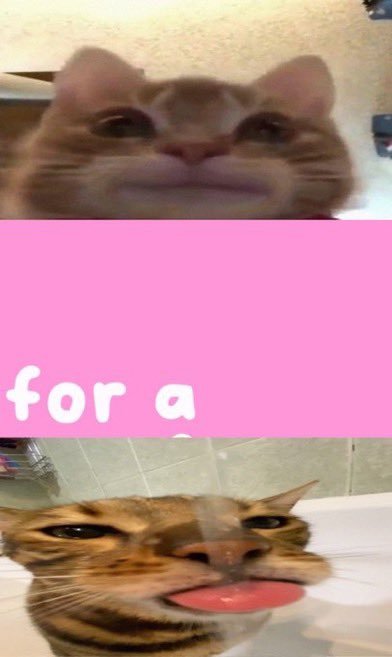 lovesickdoe's tweet image. 