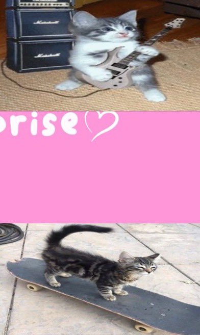 lovesickdoe's tweet image. 