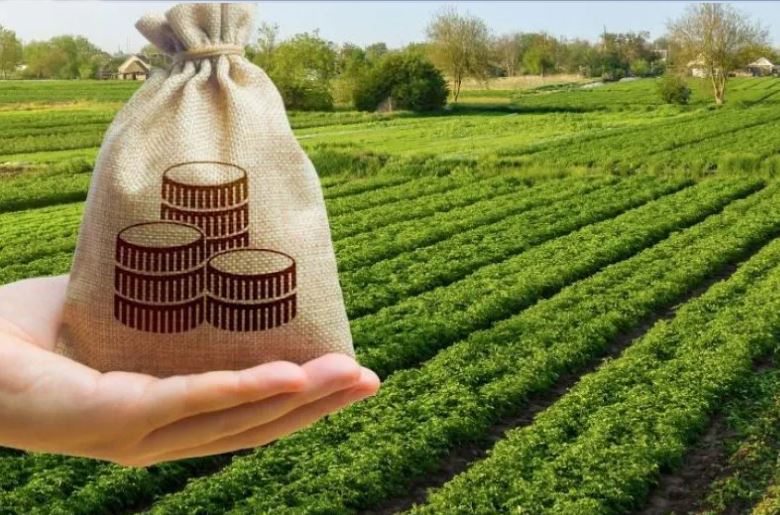 Economía Ilegal e Impuestos Locales | Por Juan Vargas (<a href="/juanf_vargas/">Juan Vargas</a>) dev.focoeconomico.org/2024/08/16/eco…