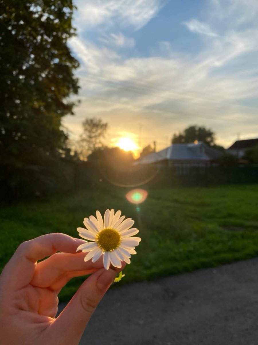 Jojozoey1's tweet photo. Peaceful your day💖 stay safe &amp; good luck to y’all 🤞 
#earth #Orbit #PeacefulWorld 
#StaySafe #StayStrong🍀 
#Enjoylive #experience #haveFun #BeSafe #BeHappy #goforward #HAPPY_Y_DAY #fruitfulDay 
#写真好きな人と繋がりたい🌹 https://t.co/BHqnZKwJsl