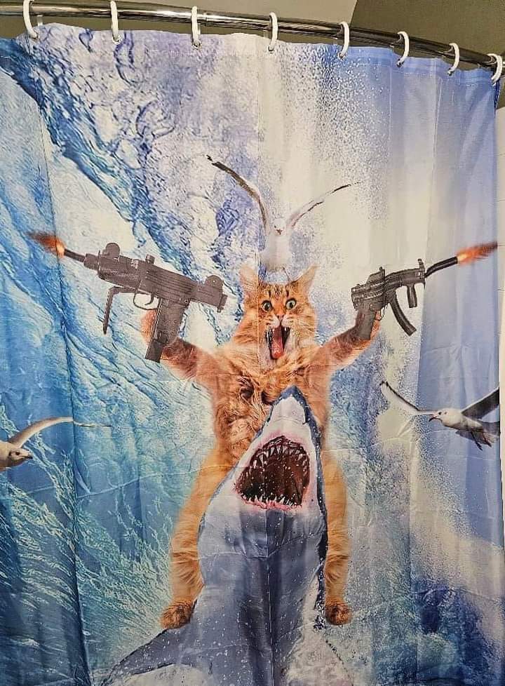 IOHK_Charles's tweet image. The perfect shower curtain doesn&apos;t exis...