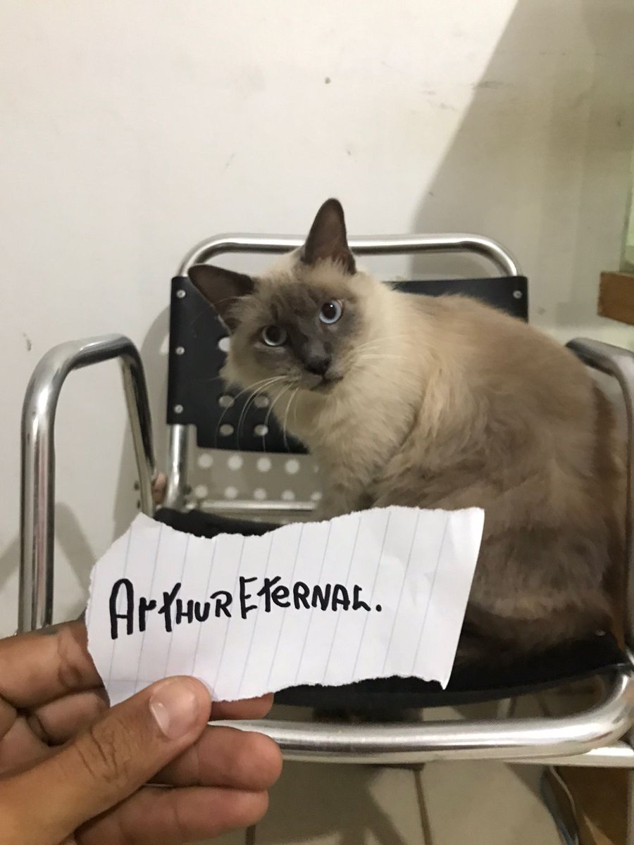 ArthurEternalHB's tweet photo. @MeuHabblet Nick: ArthurEternal. https://t.co/oXD9reSKhV