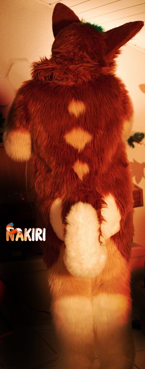 Nakiri_Fox's tweet photo. Rare sight from behind! Fluffy One! 
#furryfandom #furry #fursuiter #FursuitEveryday #fursuitfriday #fursuiting #furrycommunity #fursuits #fursuithead #furrys https://t.co/kQwOma1FS5