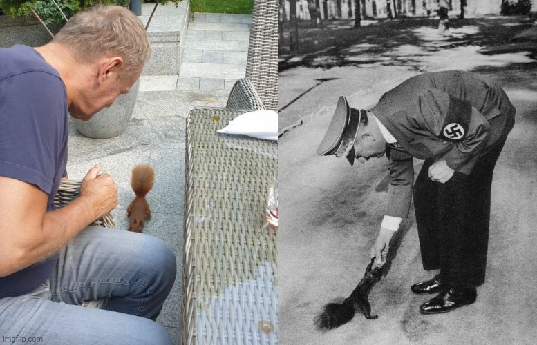 Niech ktoś to zdementuje