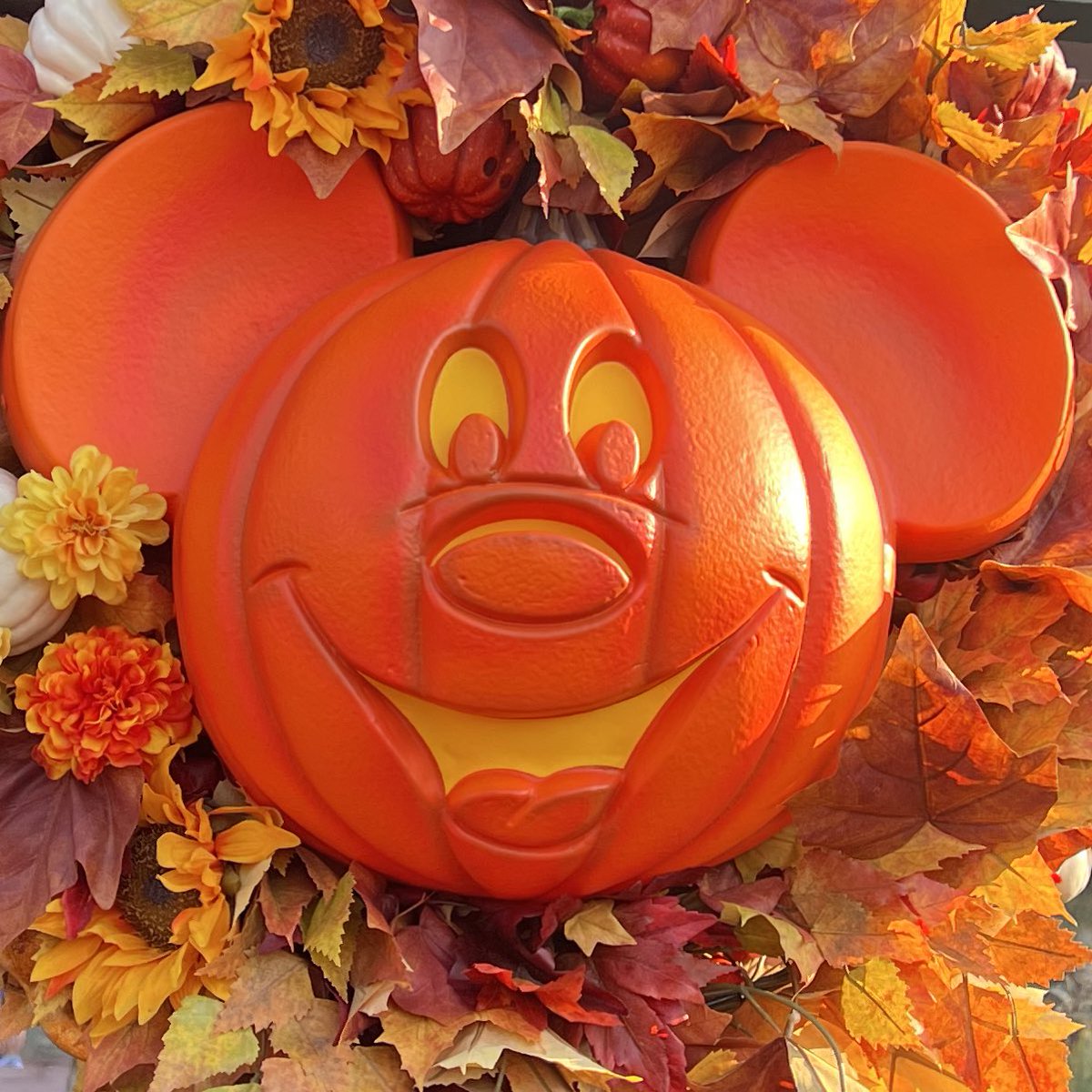 WAPope's tweet photo. Party time is finally here! #mnsshp https://t.co/eg3maX64oG