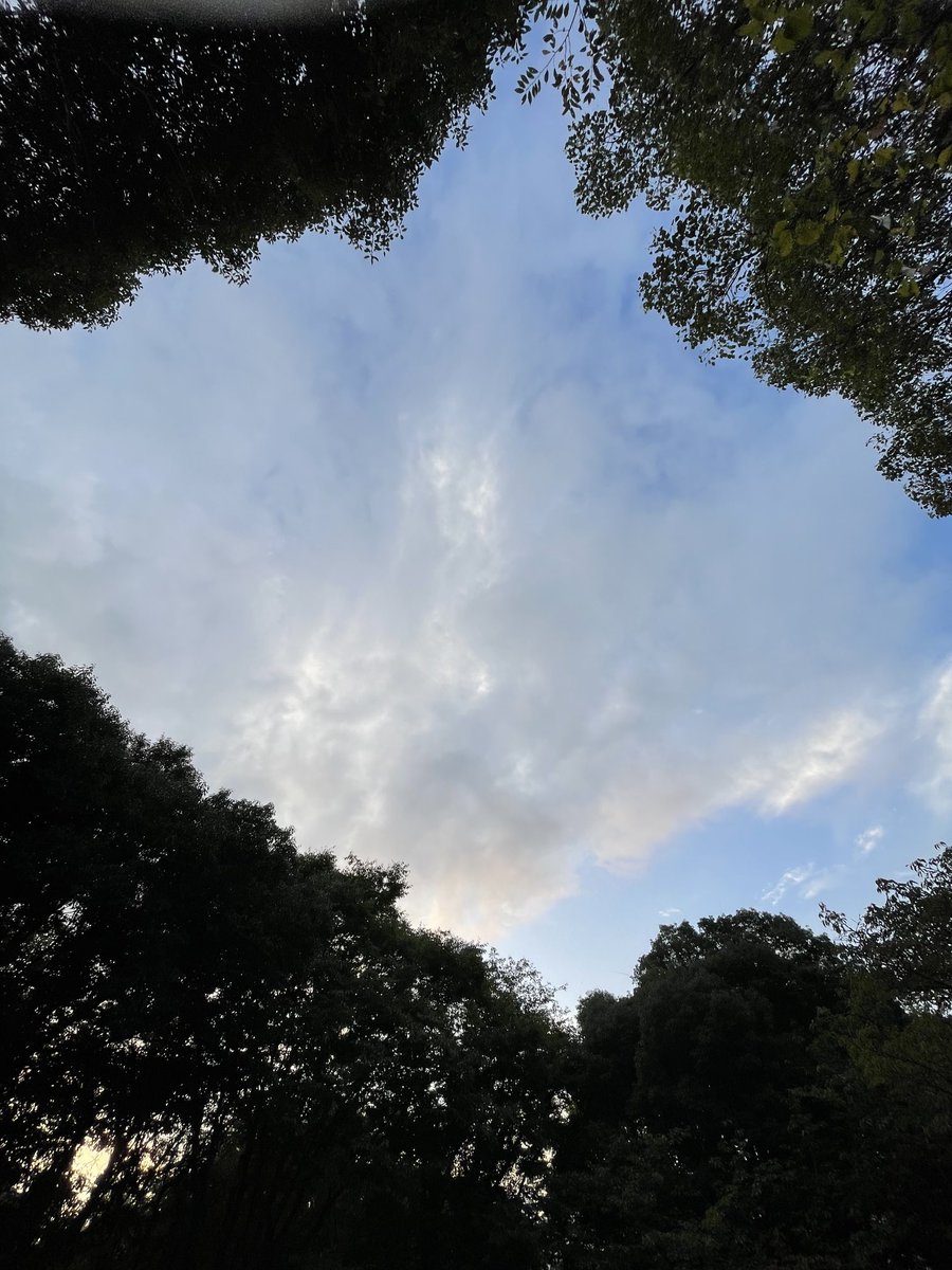 4gasuki's tweet photo. 8月17日　午前5時50分の空 https://t.co/dBIxAr5jOU