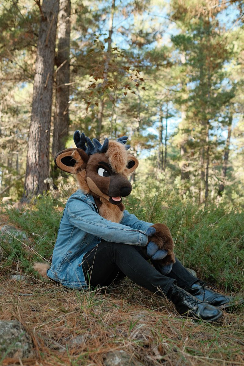 briar bramble tweet media