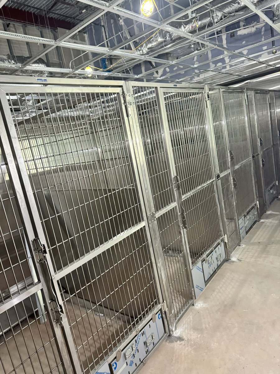 Homestead Senior High School tweet media