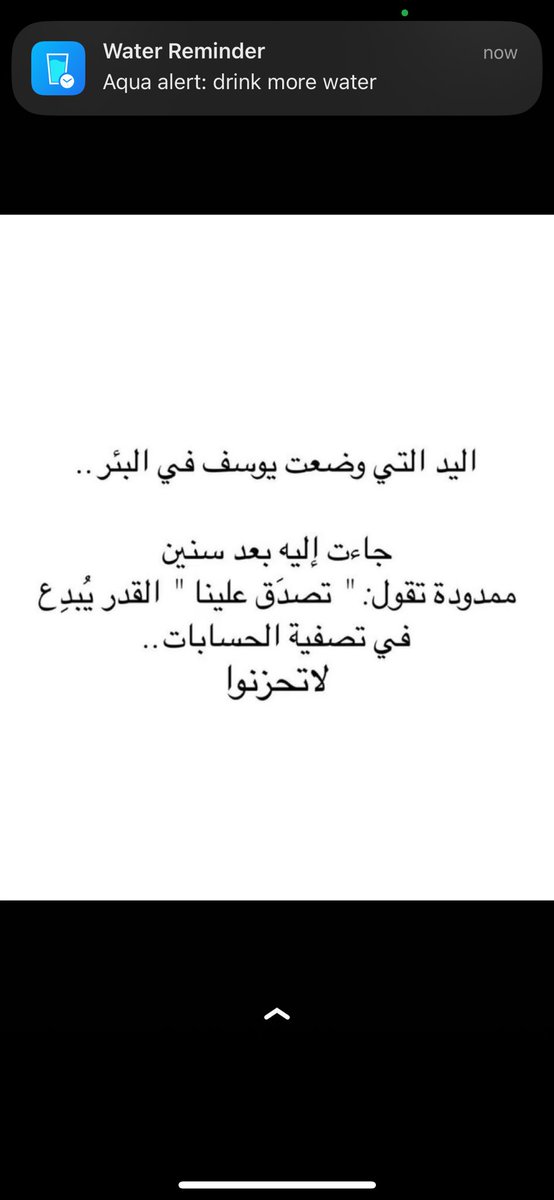 aninalwerd2012's tweet image. 